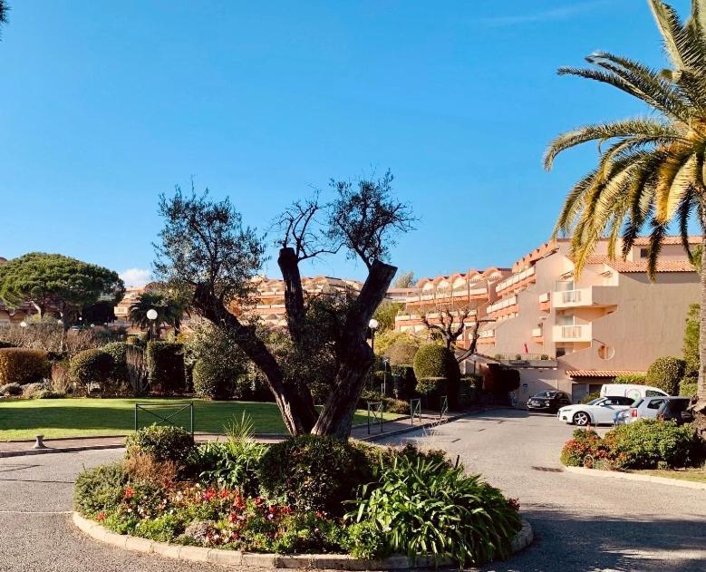 Antibes Secured Parc Velusine With Private Parking, Terrace, Pools And Tennis Courts. Eksteriør bilde